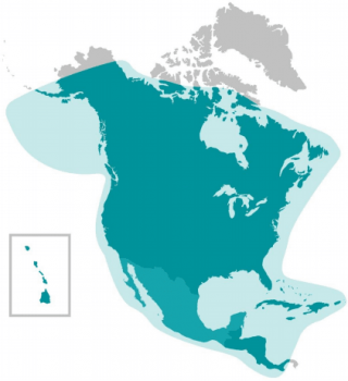 msat_coverage_map MSAT G2 Coverage map