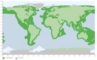 Inmarsat_Fleet_One_Coastal_Coverage_October_2019_EN_LowRes
